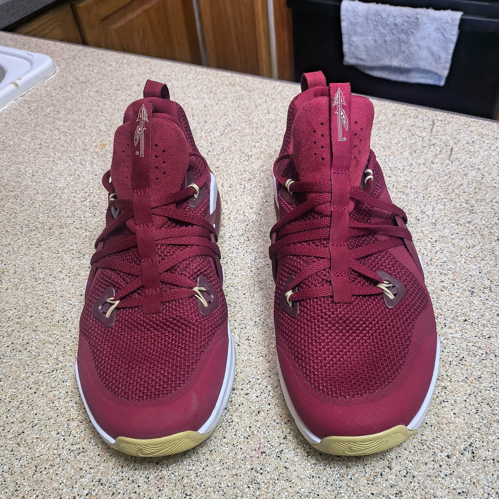 Nike Zoom - FSU Seminoles - Garnet & Gold Athletic Shoes, Men's Size 10 - Picture 4 of 10
